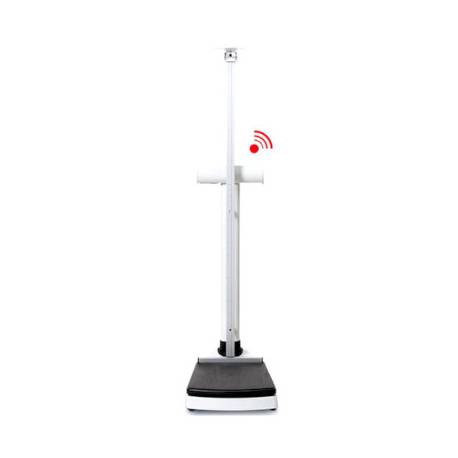 SECA 704 S max 300 kg - par 100 g