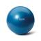 BOTA THERAPY BALL BLUE 65 CM
