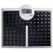 SECA 813 ROBUSTA max 200 kg - par 100 g