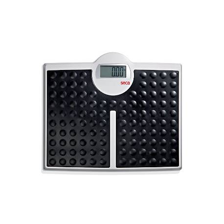 SECA 813 ROBUSTA max 200 kg - par 100 g
