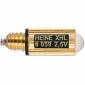 LAMP HEINE 2,5 V X-001.88.059