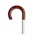 WALKING STICK L 103