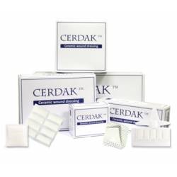 CERDAK TRACHY 10x10 cm (10 stuks)