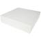 COUSSIN - NU - 40 cm * 40 cm * 10 cm - par 10 PU