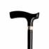 CANNE L 176