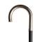 WALKING STICK L1116