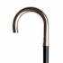 WALKING STICK L1116