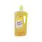 NETTOIE-TOUT citron 2L