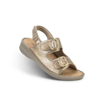 BELEN DRY GOLD PODARTIS (SRW20016L29) M: 35, W: 10,5