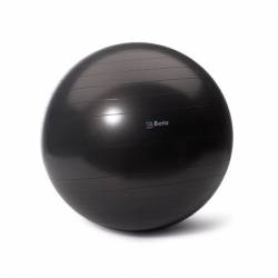BOTA THERAPIE BALLON GRIS 75 CM