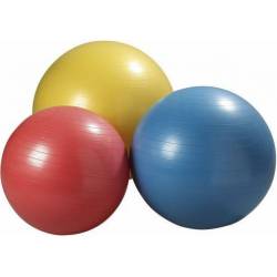 Therapy ball